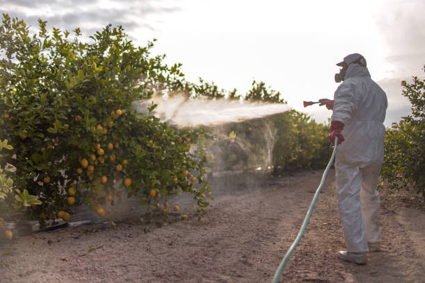 Best Mosquito Control Services  in West Lafayette, IN